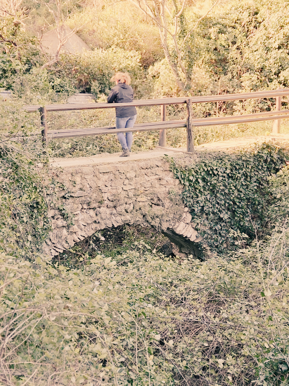 deixa de ser qui no ets