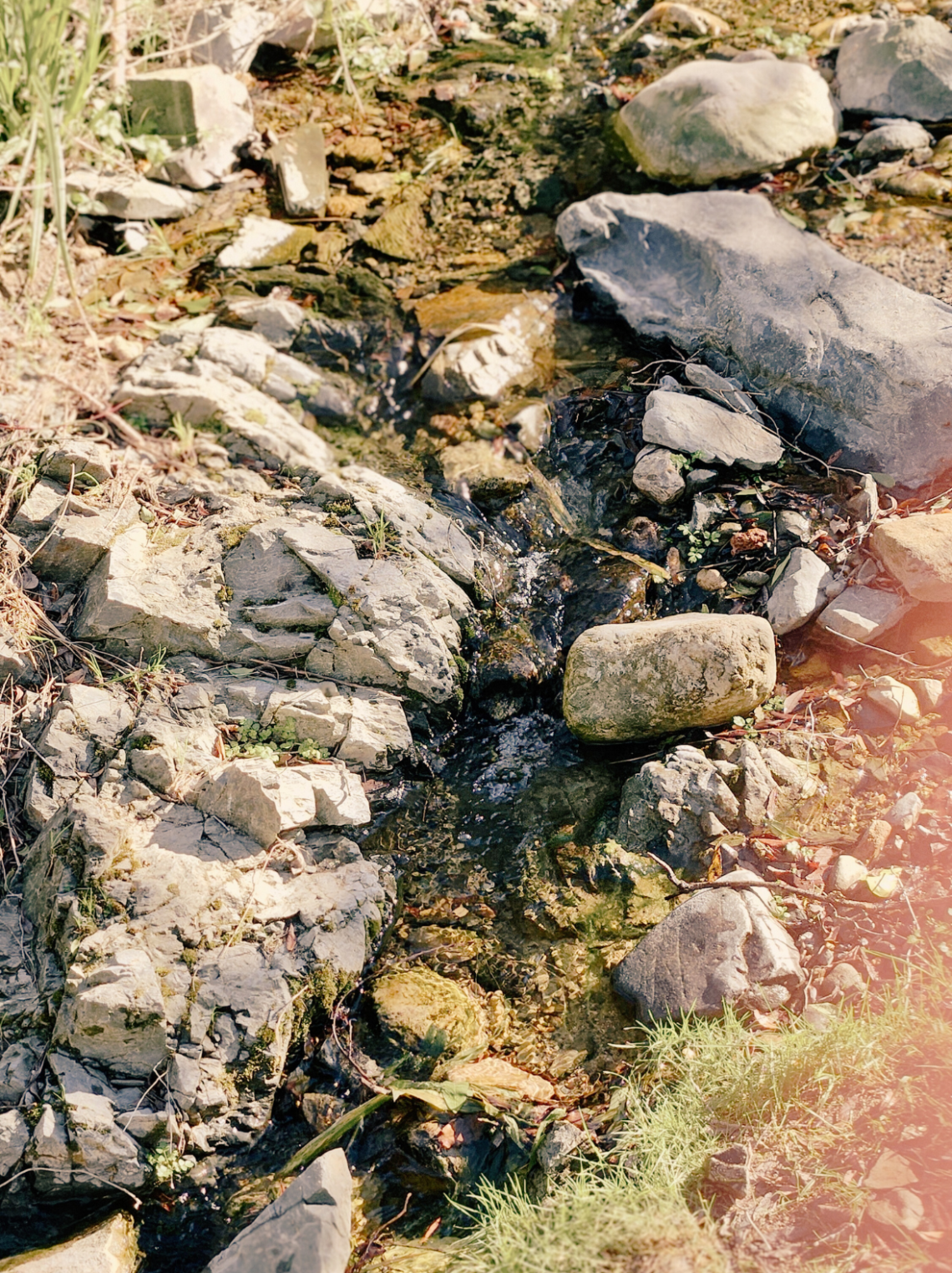 troba el teu refugi personal