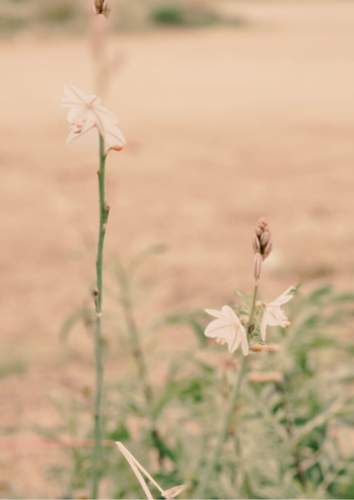 Miracle Morning, matins magics