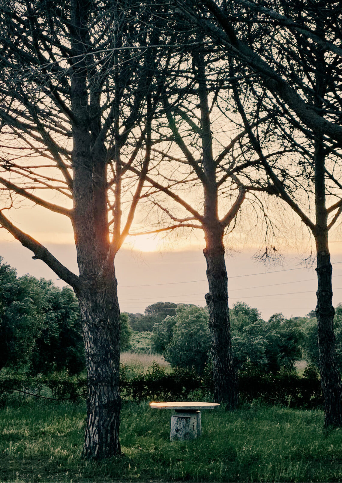 Miracle Morning, matins magics