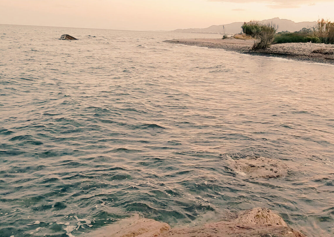 trets de personalitat i felicitat