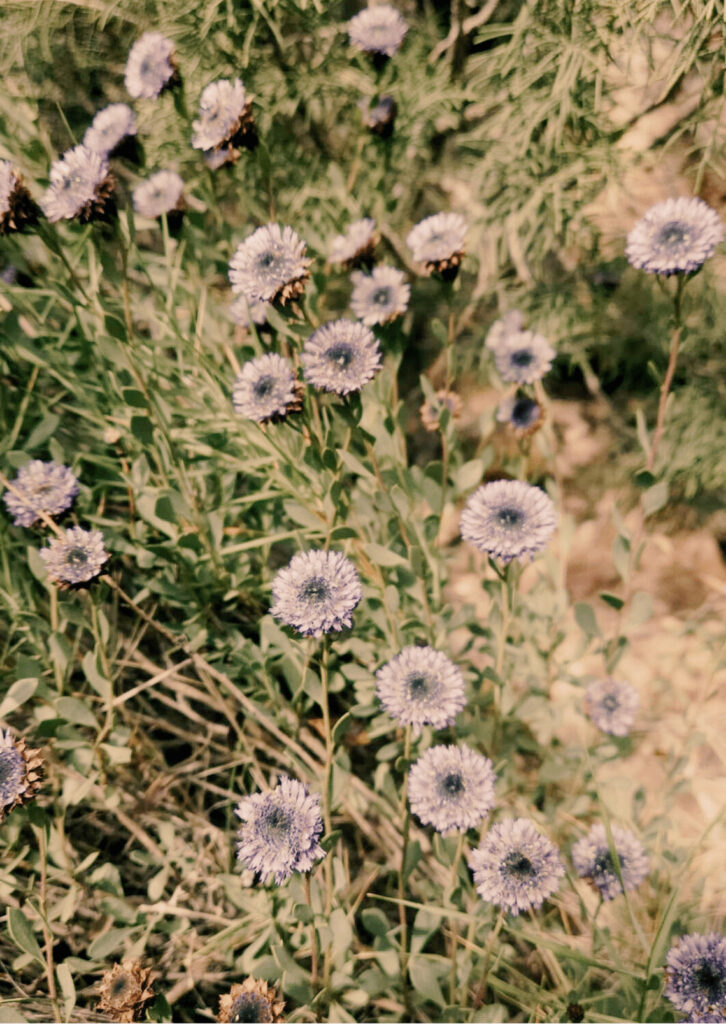 gent que es queixa molt