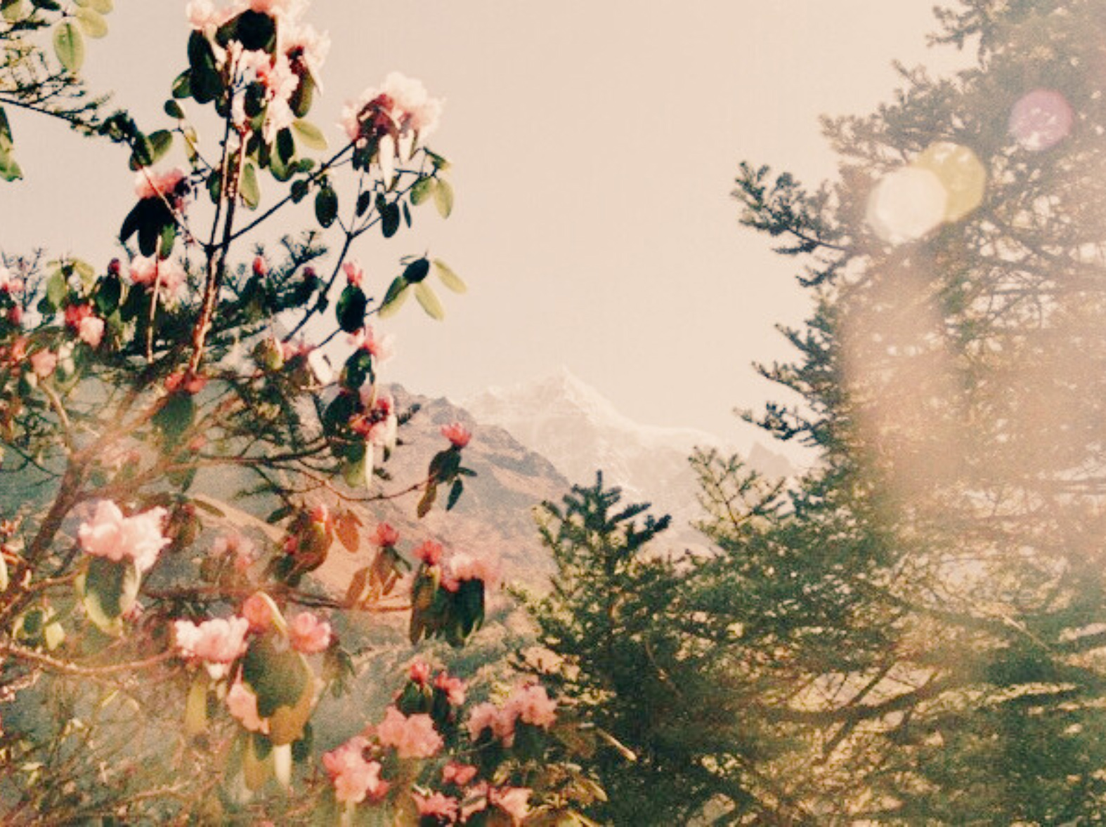 gent que es queixa molt