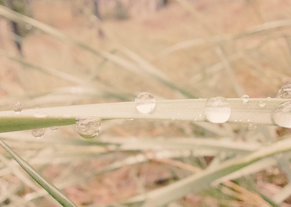 Com posar límits sense sentir-te culpable
