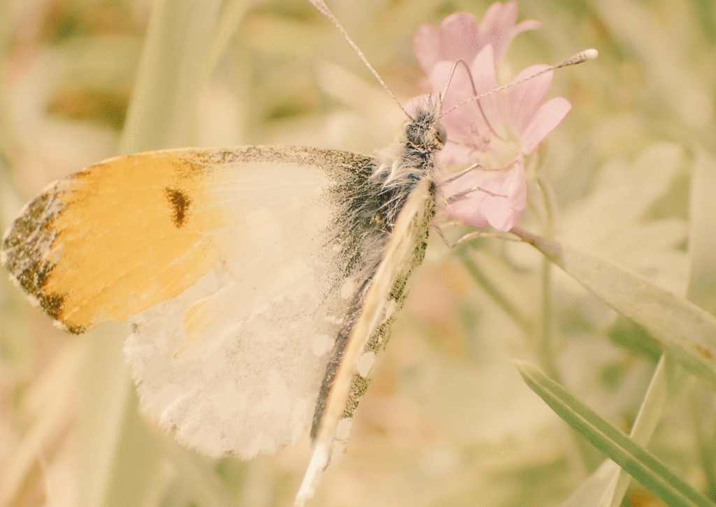 Superar la crítica interior i empoderar-te