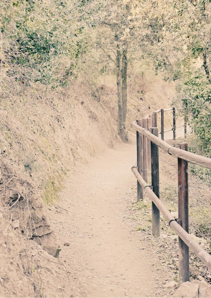 Com viure més lleugera deixant anar el que no necessites