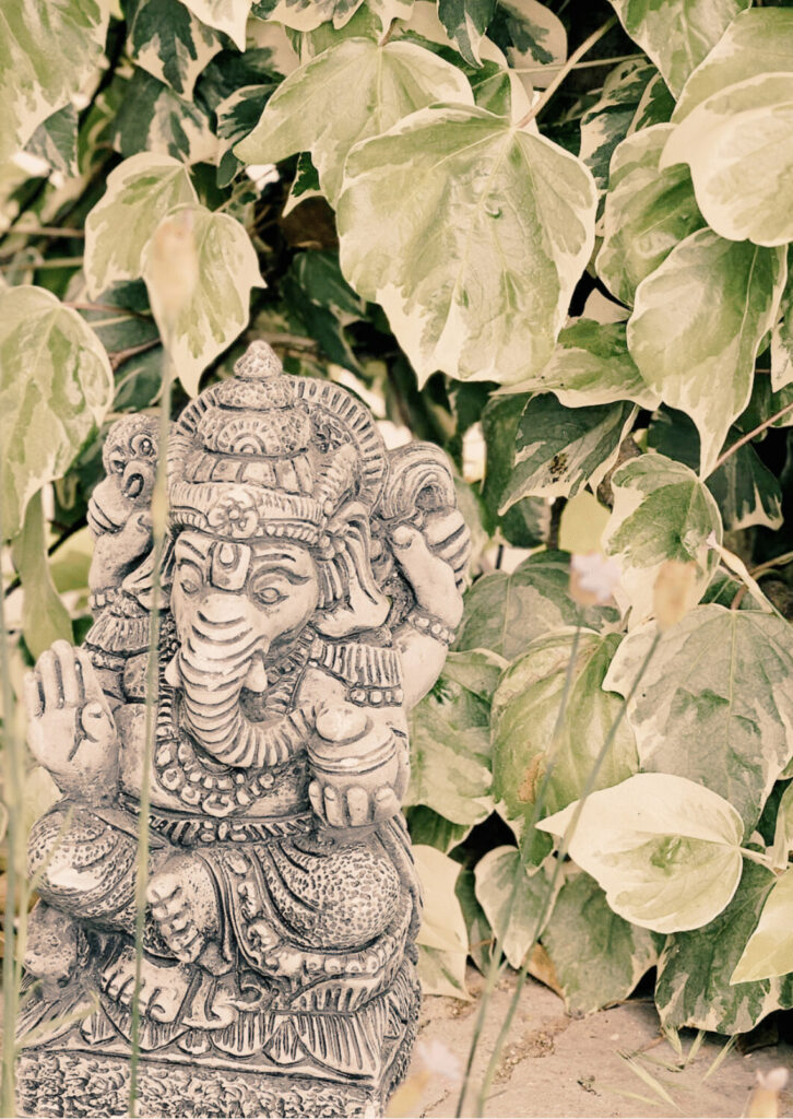 Autoestima i empoderament: recuperar el poder des de dins