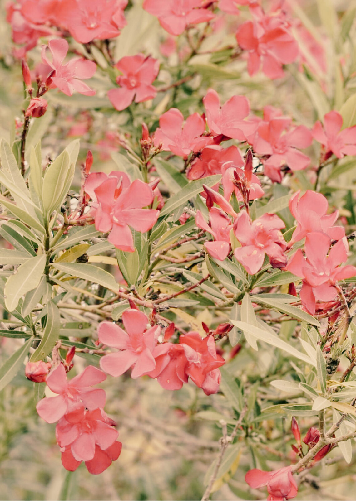 Autoestima i empoderament: recuperar el poder des de dins