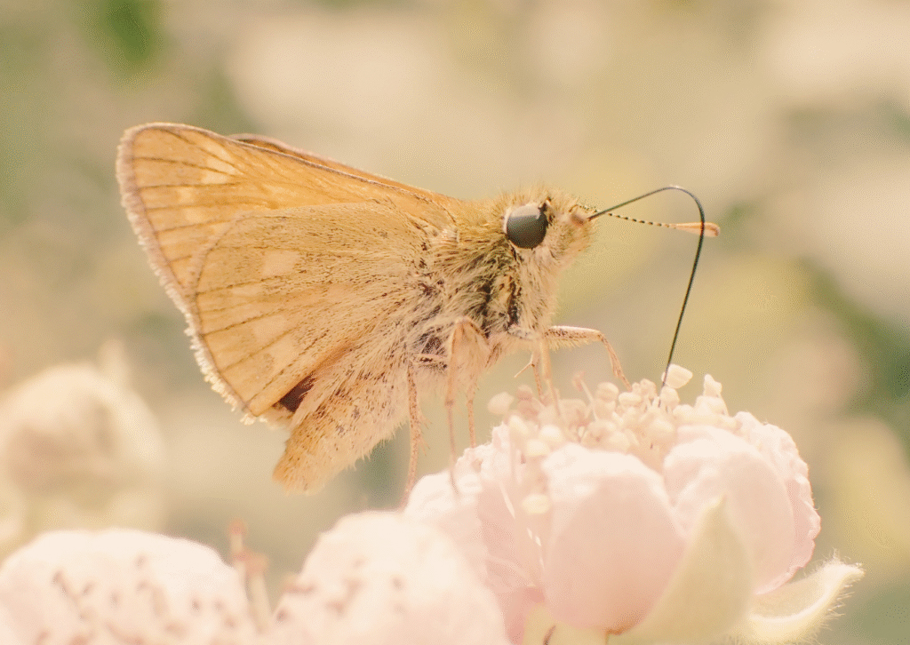 Superar la crítica interior i empoderar-te