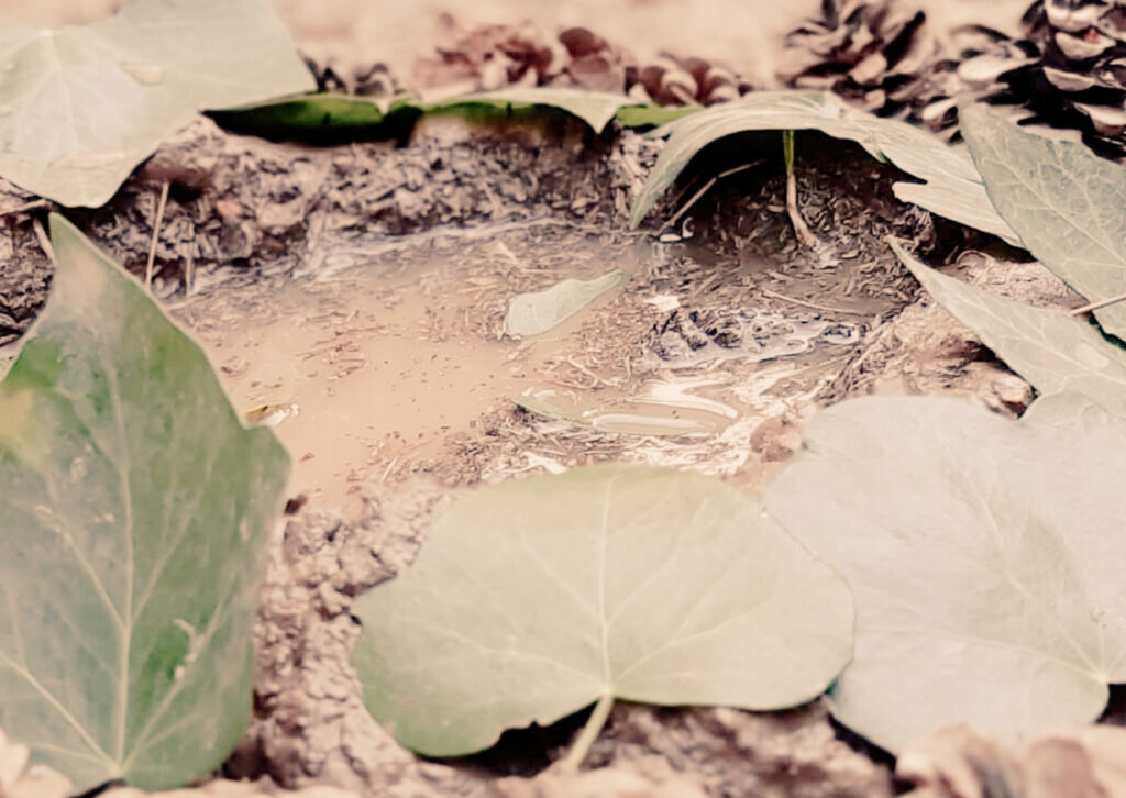 Com posar límits sense sentir-te culpable