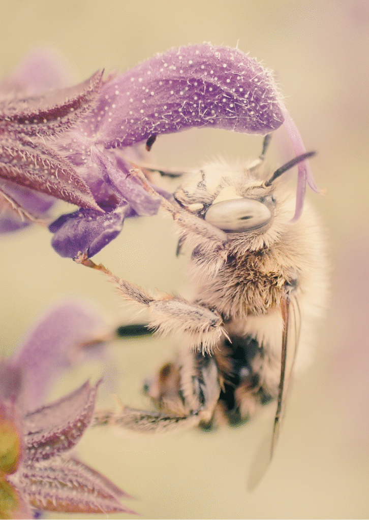 Superar la crítica interior i empoderar-te