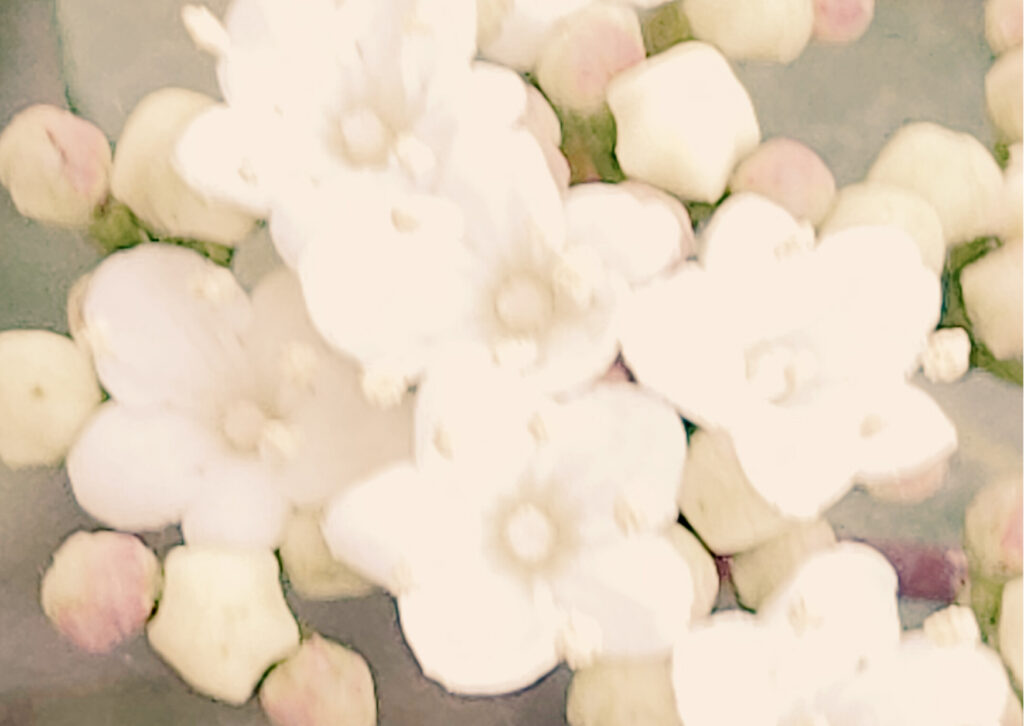 Com viure més lleugera deixant anar el que no necessites