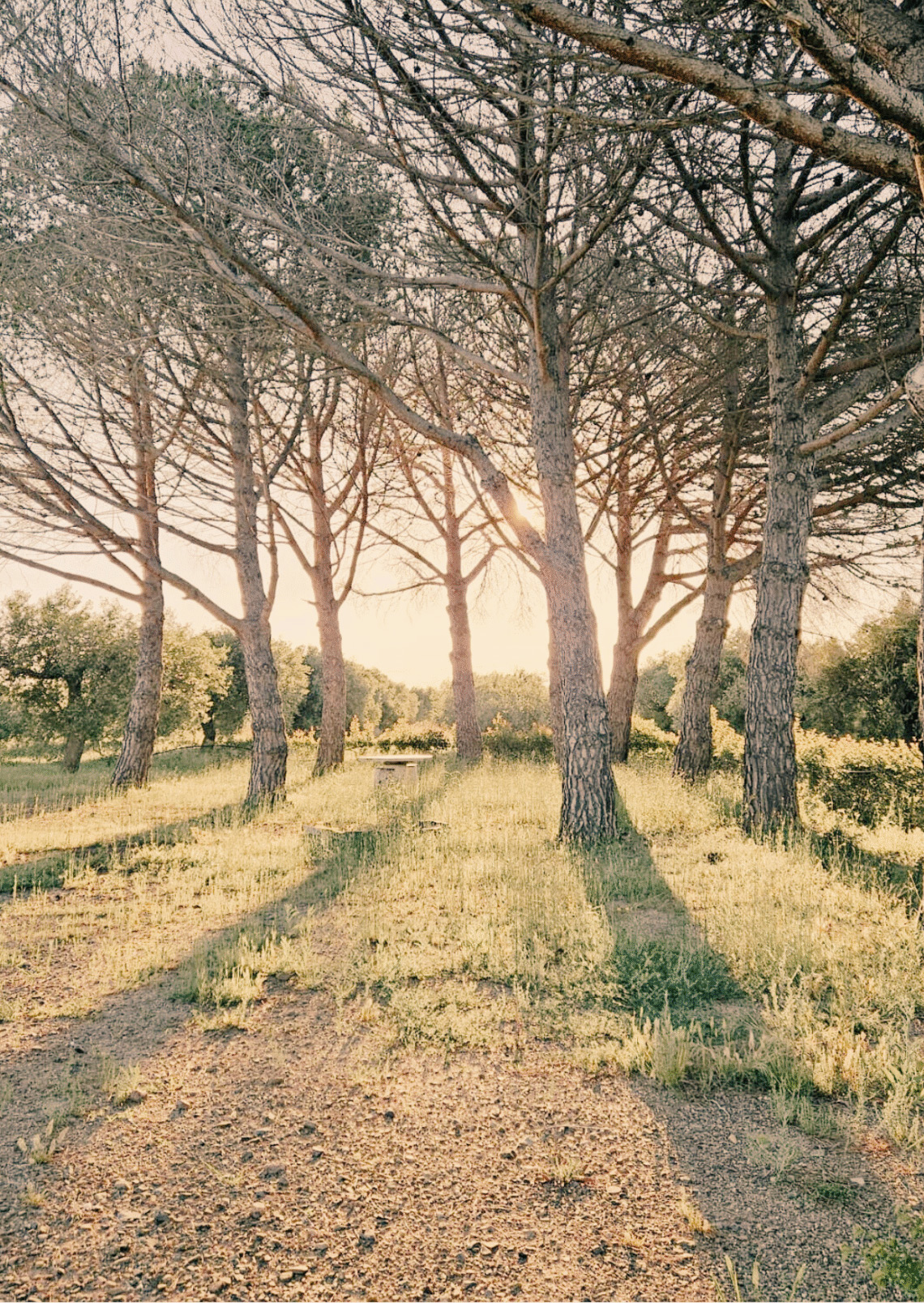 Com calmar la ment hiperactiva i trobar pau interior