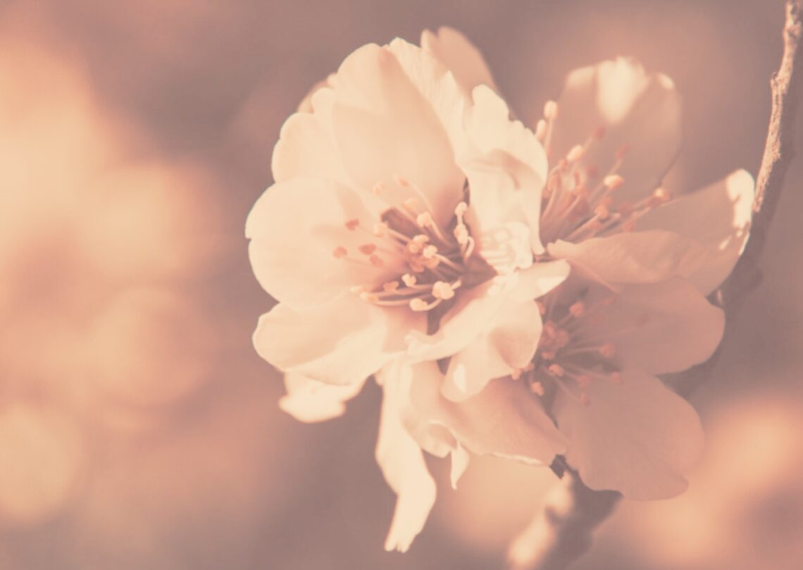 No estic preparat per perdonar