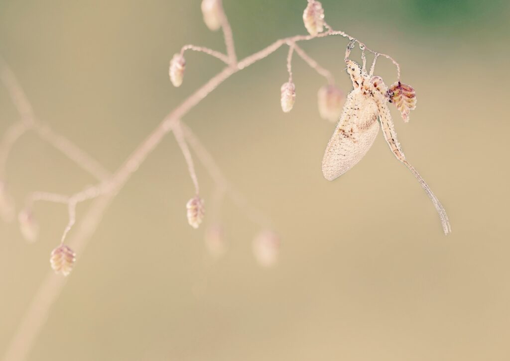 No estic preparat per perdonar
