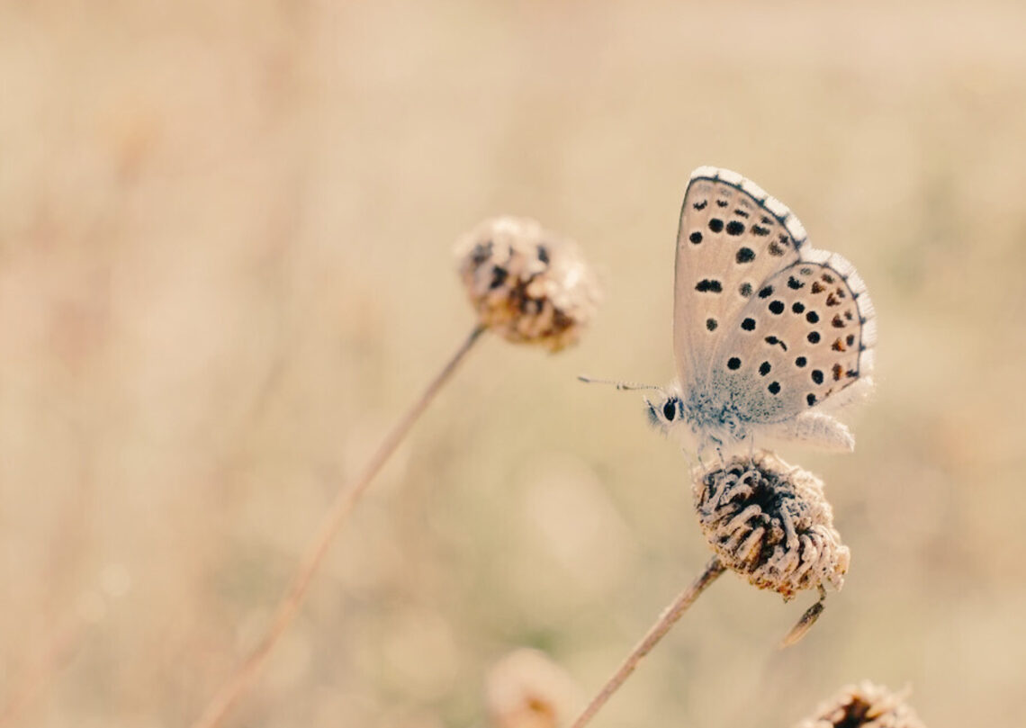 el poder transformador del perdó