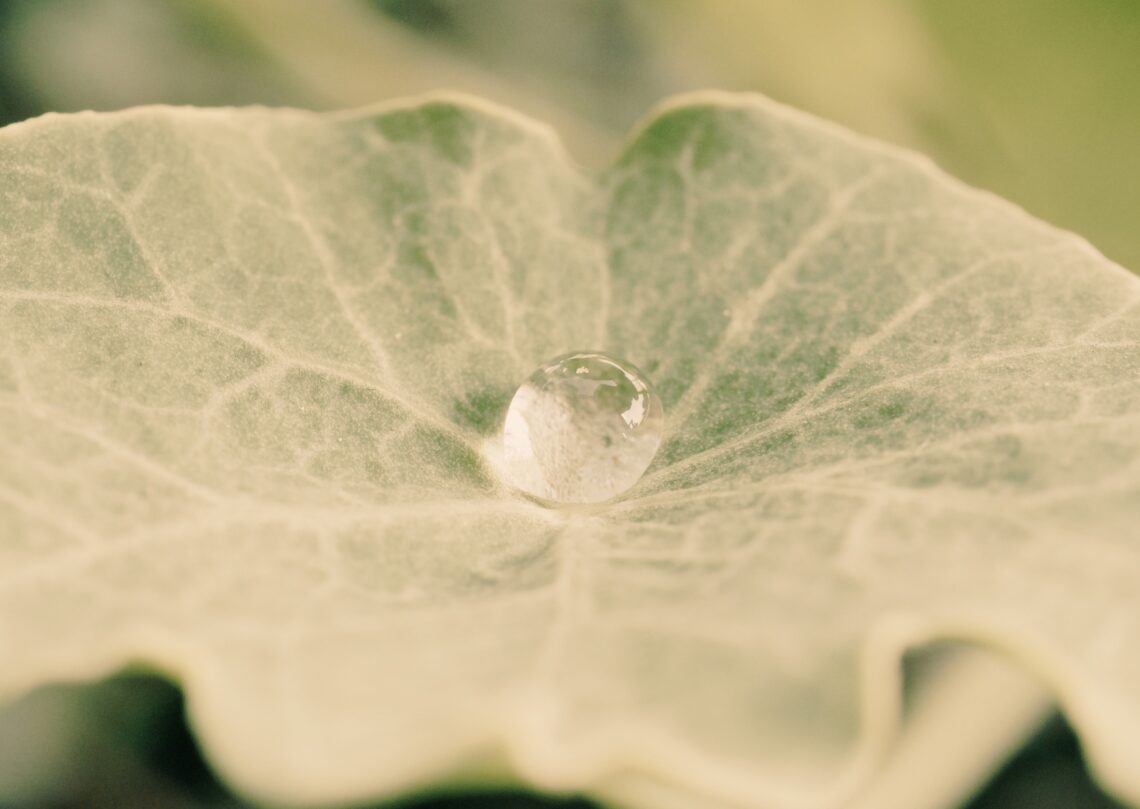 entendre l’ansietat