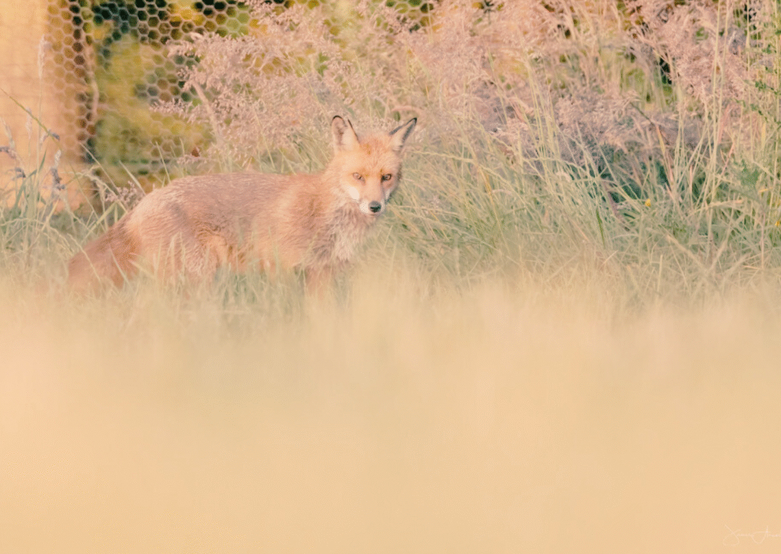 gestionar persones difícils a la feina