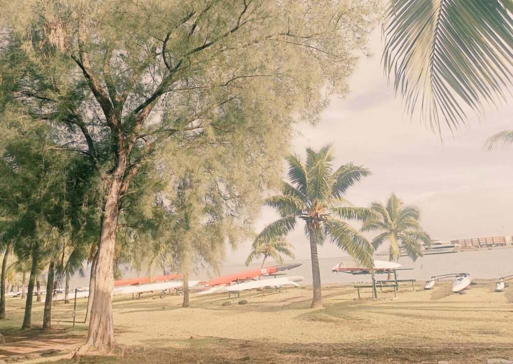 afrontar la mort de la parella