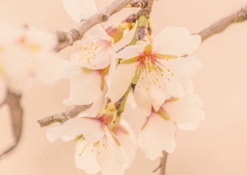 entendre l’ansietat