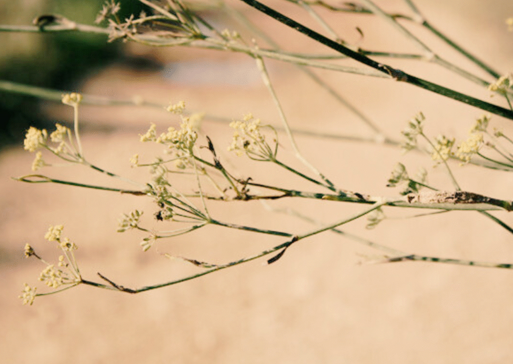 gestionar persones difícils a la feina