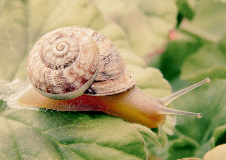 gestionar persones difícils a la feina