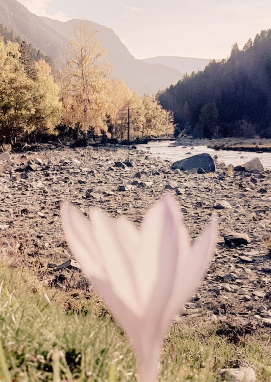 com-practicar-el-perdó-cap-a-un-mateix