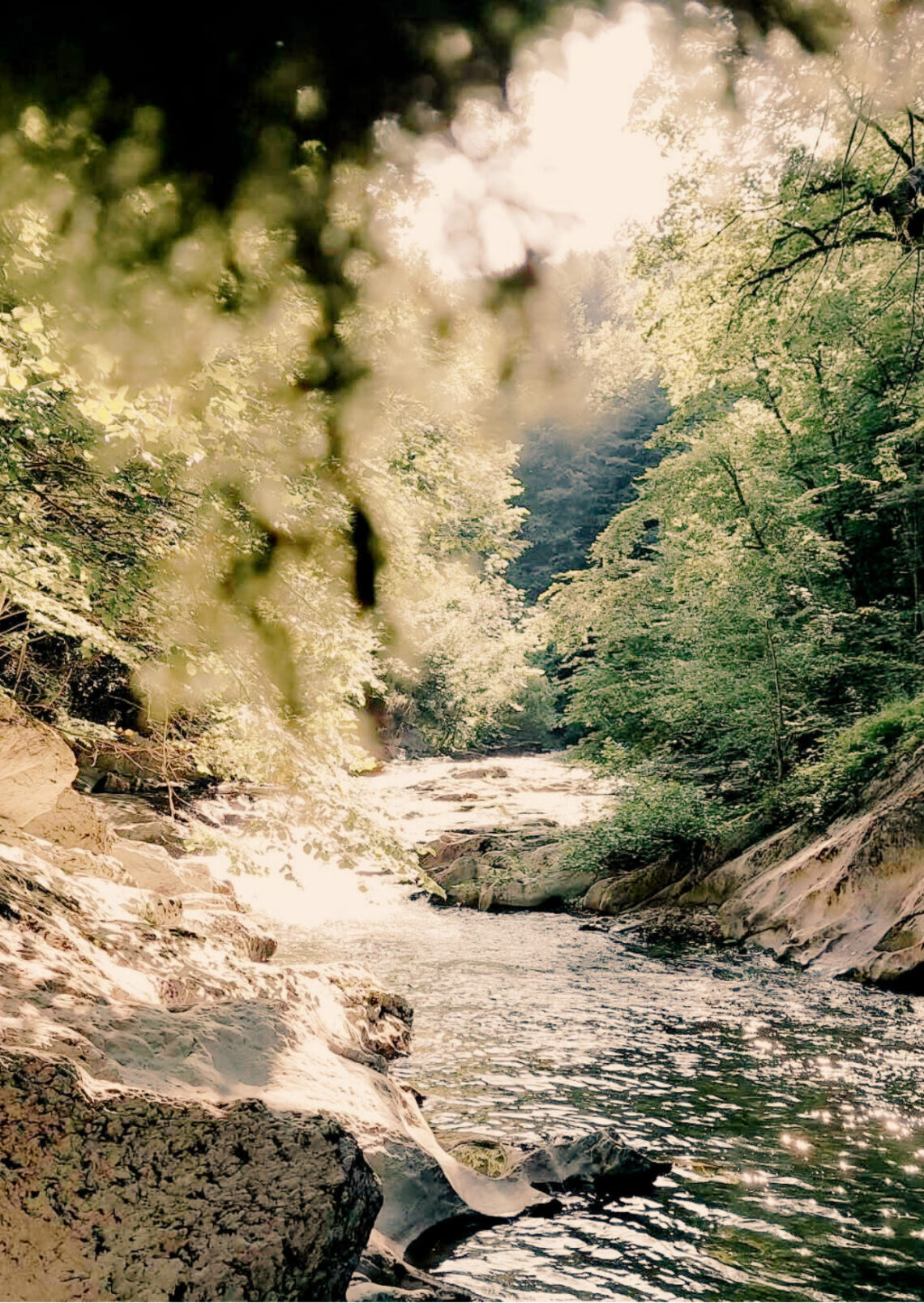 perdonar no és oblidar