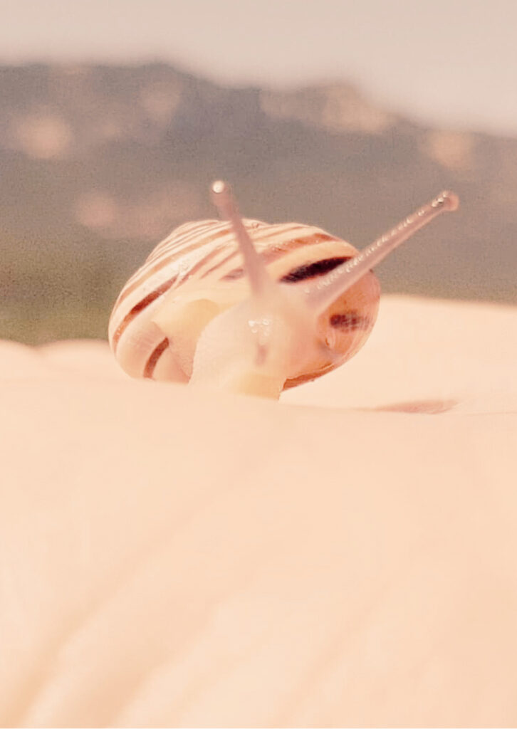 perdonar no és oblidar