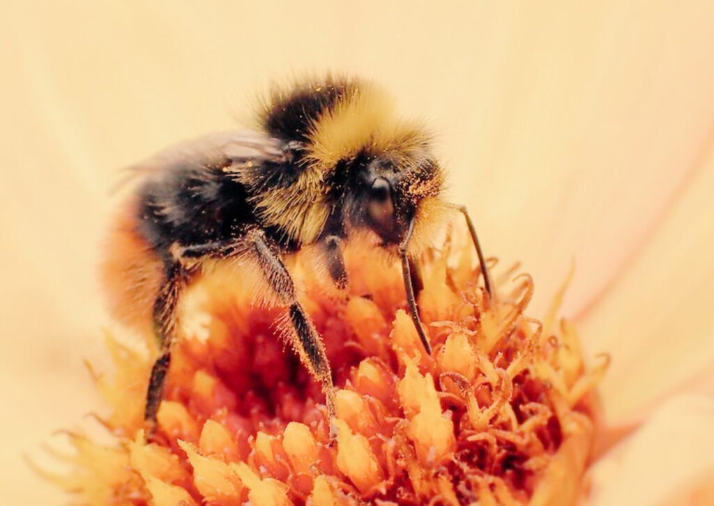 posposar tasques i ansietat