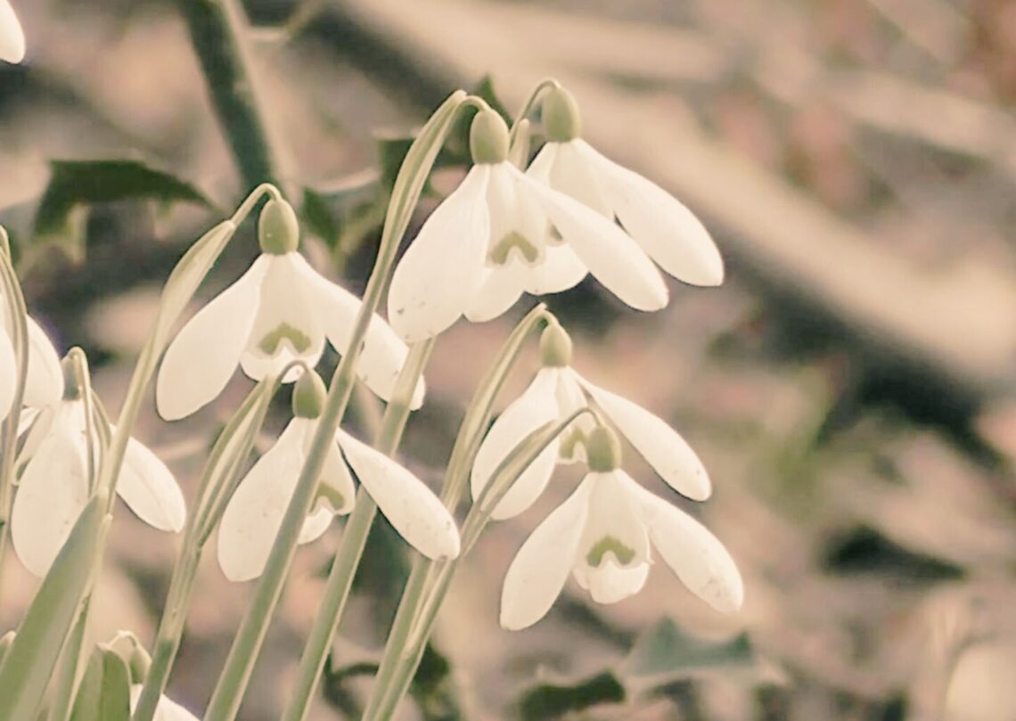 Meditació guiada respiració conscient