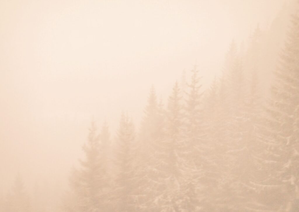 posar límits a l’amistat