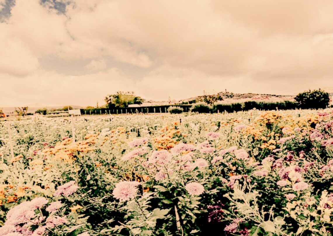 camins espirituals i essència interior