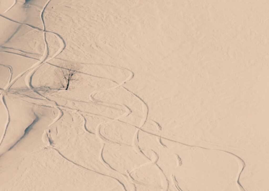 posar límits a l’amistat