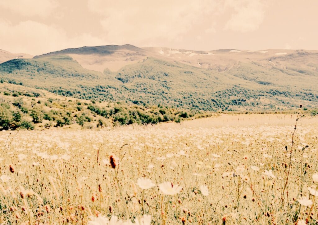 camins espirituals i essència interior