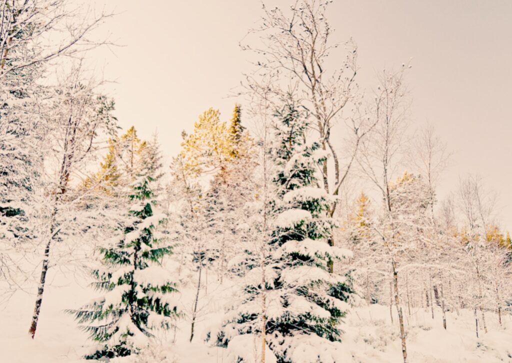 pràctiques per nodrir la calma per Nadal