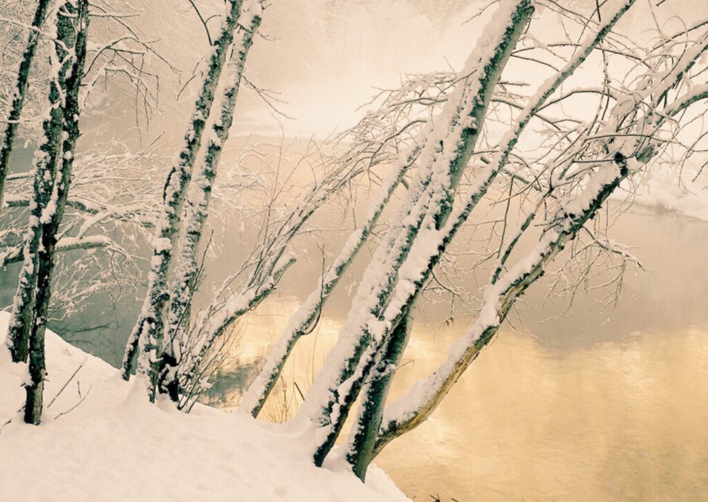 pràctiques per nodrir la calma per Nadal