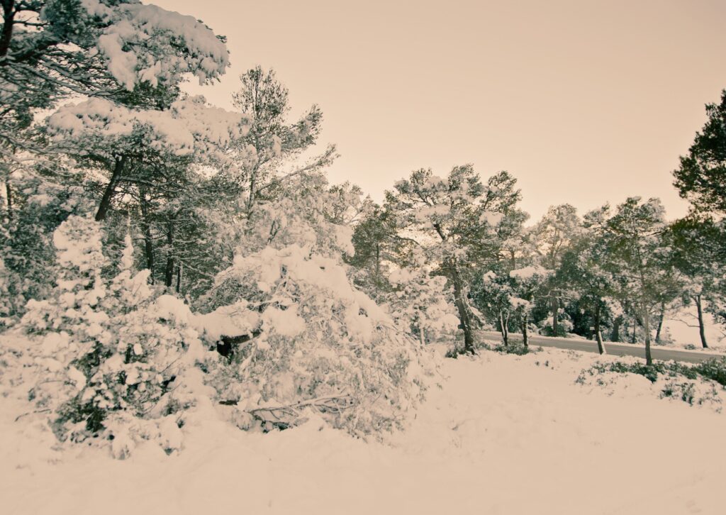 pràctiques per nodrir la calma per Nadal