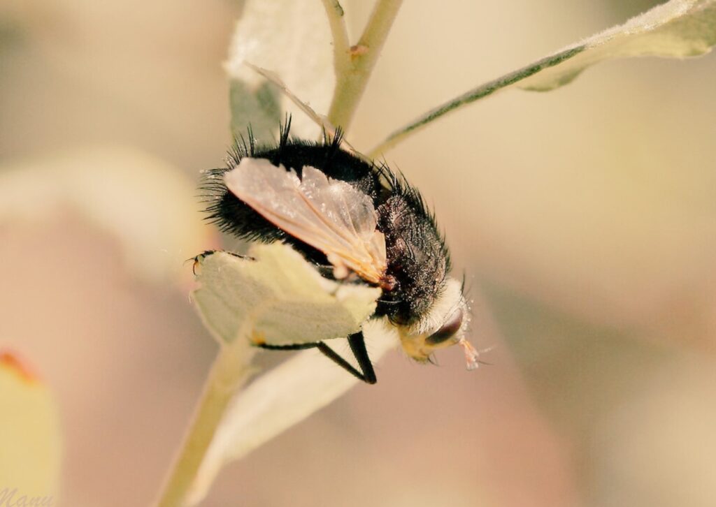 per què la bondat millora la salut