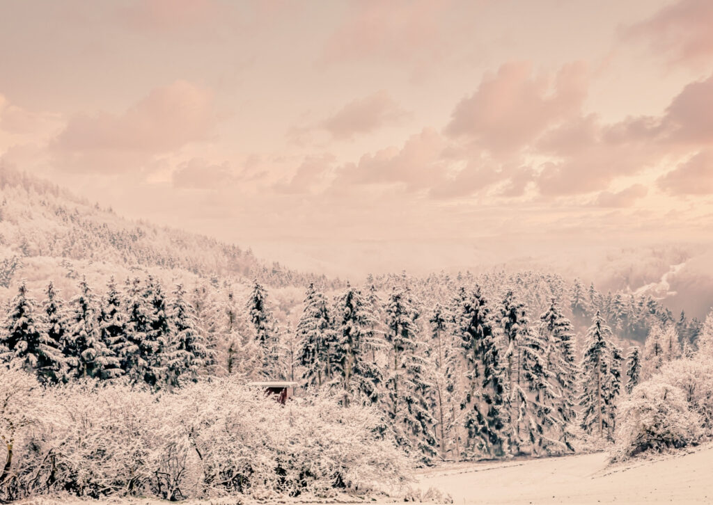 triar des de la presència