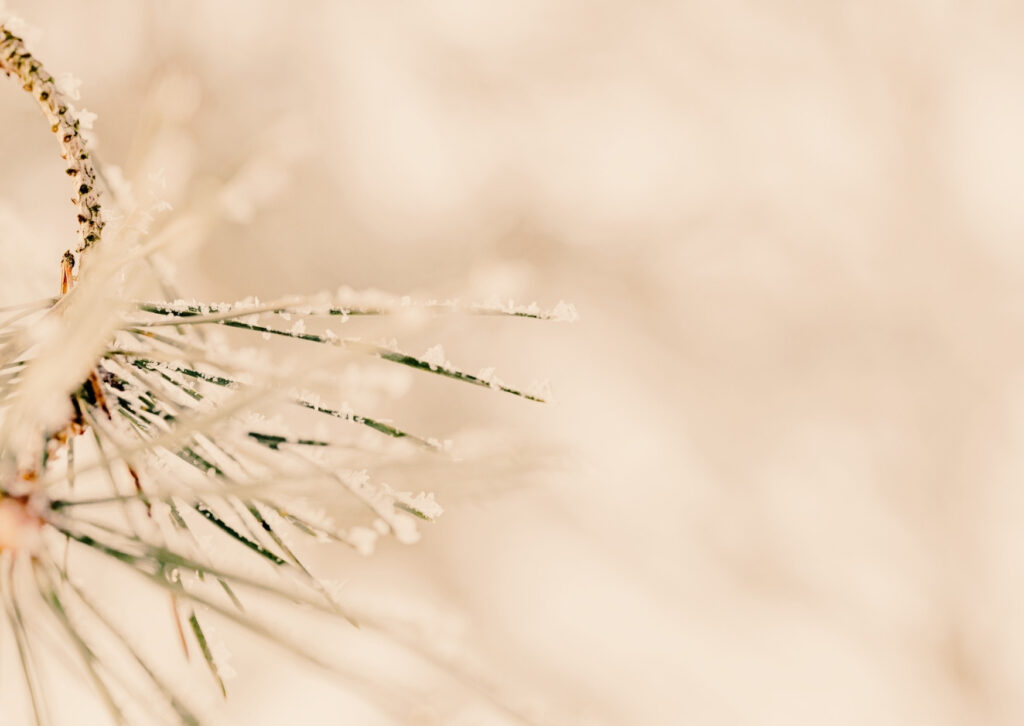 triar des de la presència