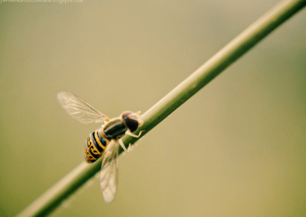 per què la bondat millora la salut