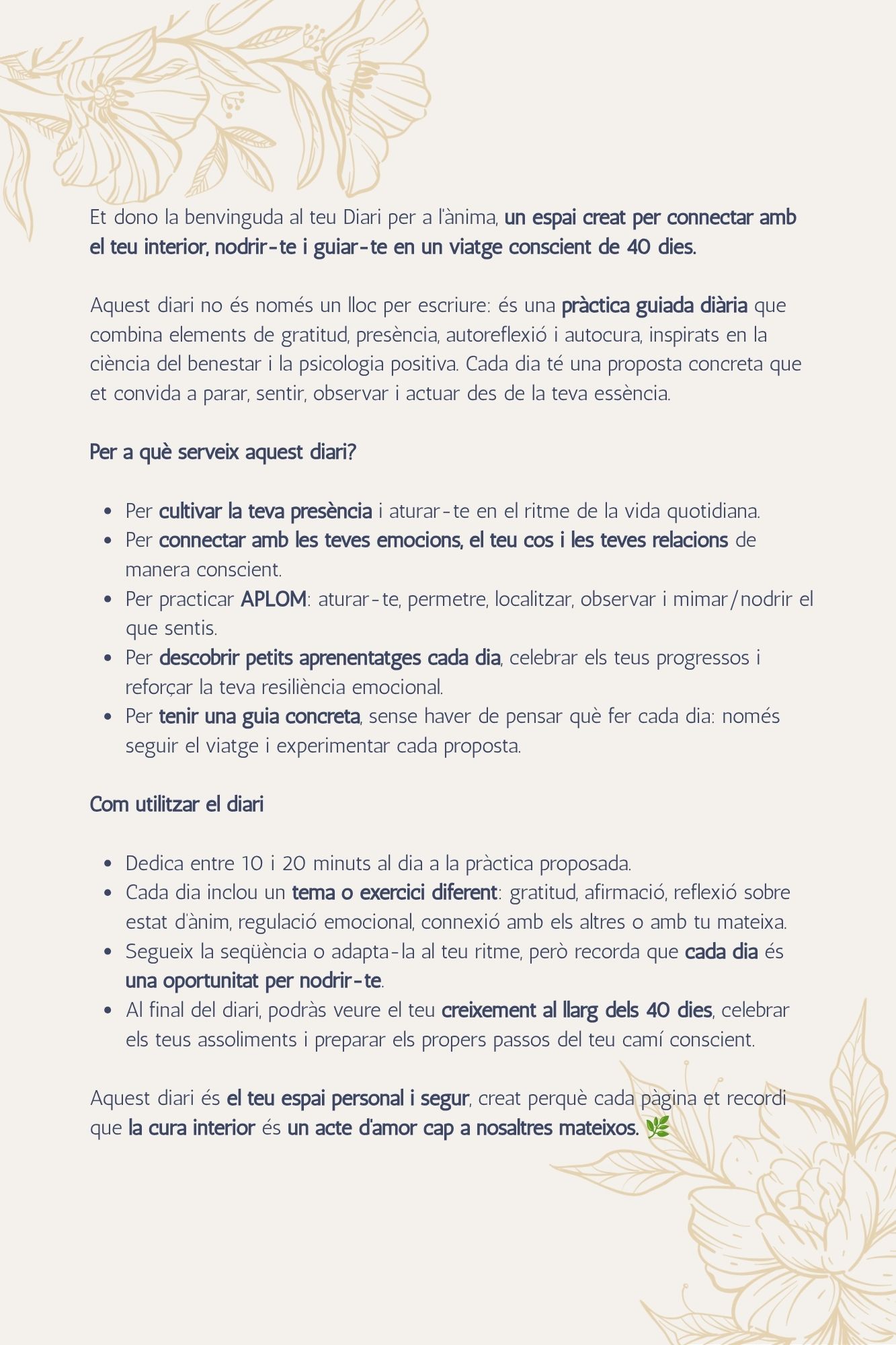 Interior Diari per a l'ànima imatge 2